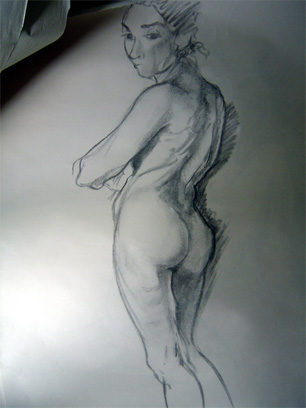 figure 008